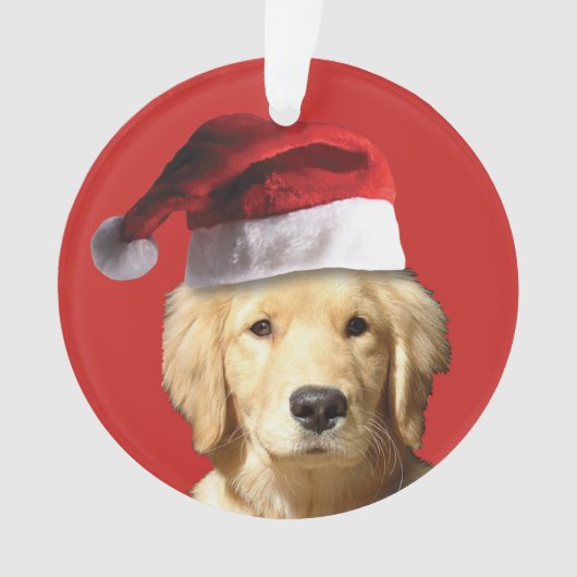 Golden Retriever de Noël (devant)