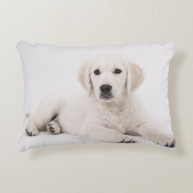 Golden Retriever Decoratief Kussen (Voorkant)