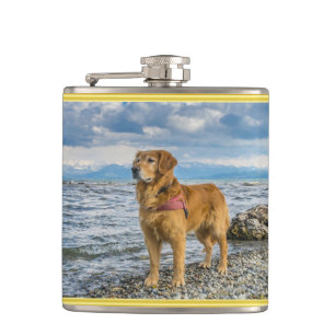 Golden retriever die zich op blauwe oceaan heupfles