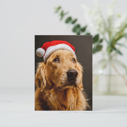 Golden Retriever die zich voor zijn kerstfeest inz Feestdagenkaart (Staand voorkant)