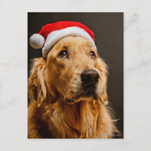 Golden Retriever die zich voor zijn kerstfeest inz Feestdagenkaart