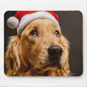 Golden Retriever die zich voor zijn kerstfeest inz Muismat
