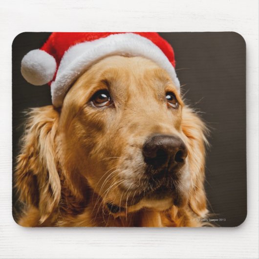 Golden Retriever die zich voor zijn kerstfeest inz Muismat (Voorkant)