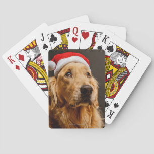 Golden Retriever die zich voor zijn kerstfeest inz Speelkaarten
