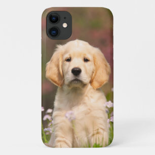 Golden Retriever Dog Cute Goldie Puppy Portrait - iPhone 11 Hoesje