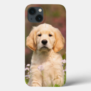 Golden Retriever Dog Cute Goldie Puppy Portret - iPhone 13 Hoesje