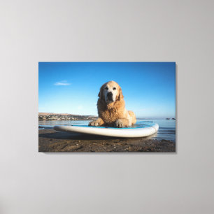 Golden Retriever Dog die op een pedaalbord leest Canvas Afdruk