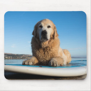 Golden Retriever Dog die op een pedaalbord leest Muismat