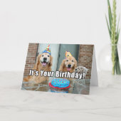 Golden Retriever Dog Happy Birthday Cake Kaart (Voorkant)