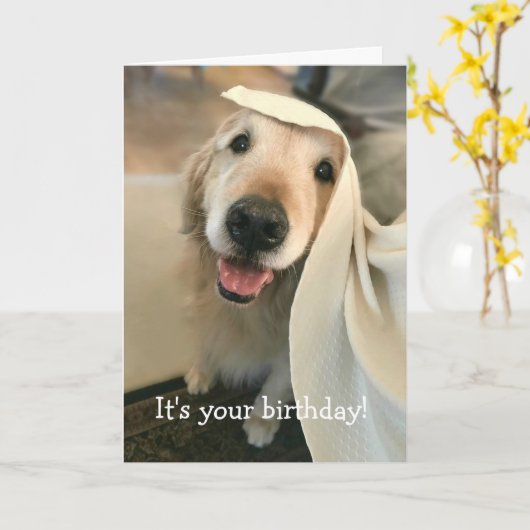 Golden Retriever Dog Het is jouw verjaardag Kaart (Gele Bloem)