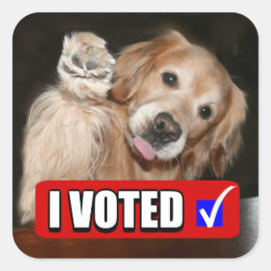 Golden Retriever Dog Ik heb gestemd op verkiezings Vierkante Sticker
