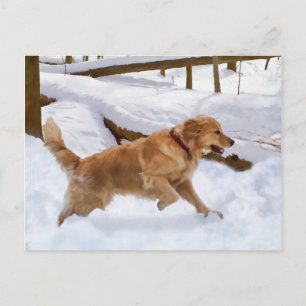 Golden Retriever Dog in sneeuwBriefkaart Briefkaart