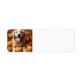 Golden Retriever Dog met Pumpkins & Leaves Label