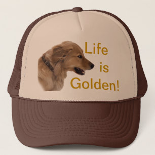 Golden Retriever Dog Pet