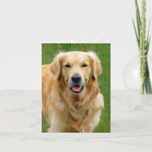 Golden Retriever—Dog Sympathikaart Kaart