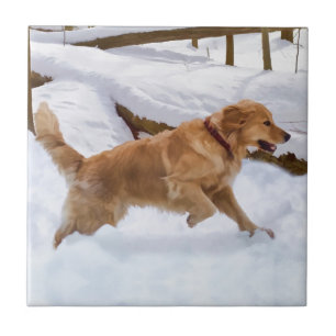 Golden Retriever Dog Tile Tegeltje