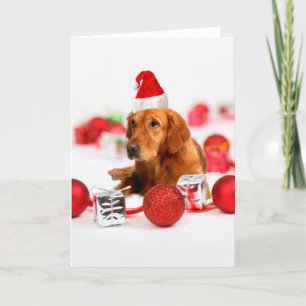 Golden Retriever Dog W Red Santa Hat Kerstmis Feestdagen Kaart