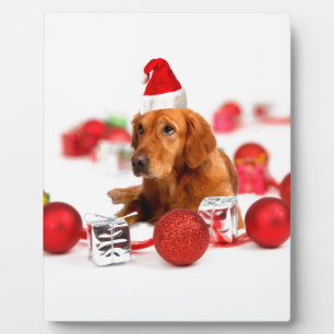Golden Retriever Dog W Red Santa Hat Kerstmis Fotoplaat