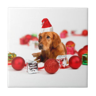 Golden Retriever Dog W Red Santa Hat Kerstmis Tegeltje