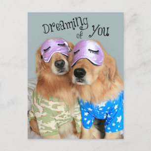 Golden Retriever Dreaming van je Valentijnsdag Feestdagenkaart