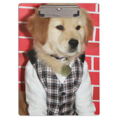 Golden Retriever drukte op Puppy Klembord (Voorkant)