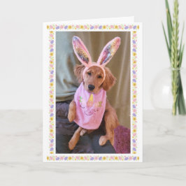 Golden Retriever Easter Kaart