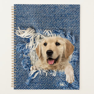Golden Retriever en Blue Jean Hole