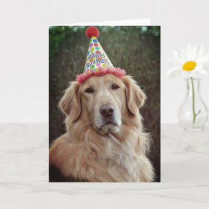 Golden Retriever & Feesthoed met Hartelijk Gefelic Kaart