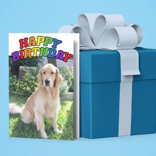 Golden Retriever Foto: Beauful Rainbow Birthday Kaart