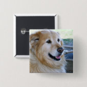 Golden Retriever Foto Vierkante Button 5,1 Cm (Voorkant /achterkant)