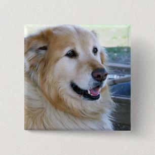 Golden Retriever Foto Vierkante Button 5,1 Cm