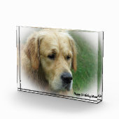 Golden Retriever. Fotoblokken (Rechts)