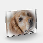 Golden Retriever. Fotoblokken (Links)