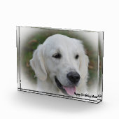 Golden Retriever. Fotoblokken (Rechts)