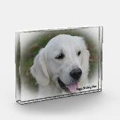 Golden Retriever. Fotoblokken (Links)