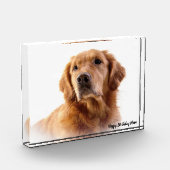 Golden Retriever. Fotoblokken (Links)
