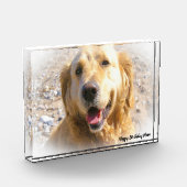 Golden Retriever. Fotoblokken (Links)