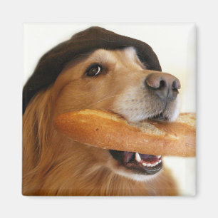 Golden Retriever French Bread Magnet Magneet