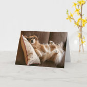 Golden Retriever Funny Vaderdag Kaart (Gele Bloem)