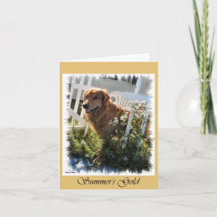 Golden Retriever geeft tekenkaarten Kaart