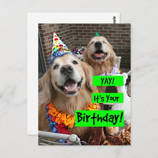 Golden Retriever Gefeliciteerd met je verjaardag Briefkaart (Voorkant / Achterkant)