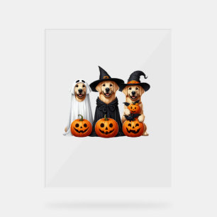 Golden Retriever Ghost Halloween Amoureux de les c
