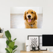 Golden Retriever glimlachen Poster (Thuiskantoor)