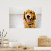 Golden Retriever glimlachen Poster (Keuken)