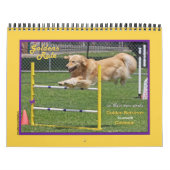 Golden Retriever "Goldens Rule" Calendrier de 12 m (Protection)