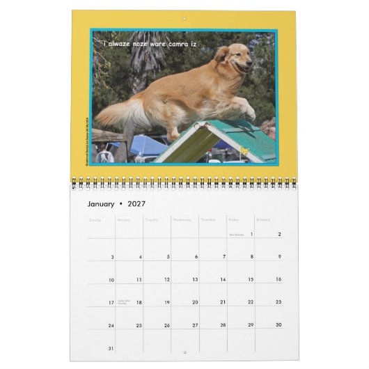 Golden Retriever "Goldens Rule" Calendrier de 12 m (Jan 2027)