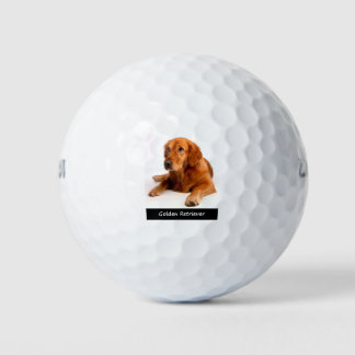 Golden Retriever Golfballen