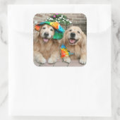 Golden Retriever Groovy Stickers (Tas)