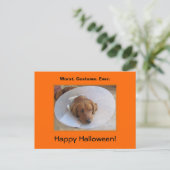 Golden Retriever Halloween Briefkaart (Staand voorkant)
