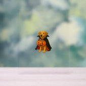 Golden Retriever Halloween Chien avec bonbon Citro (Neutre)